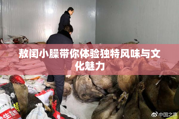 敖闰小臊带你体验独特风味与文化魅力
