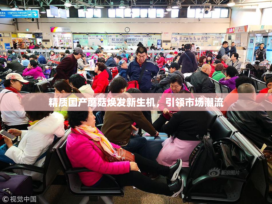 精质国产蘑菇焕发新生机，引领市场潮流