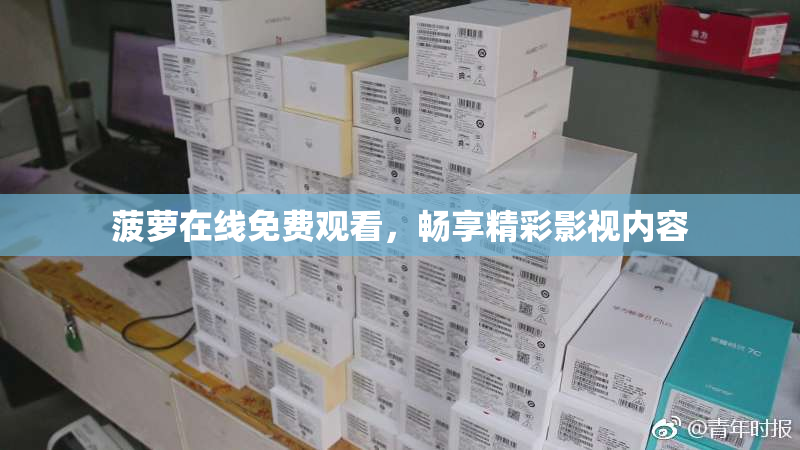 菠萝在线免费观看，畅享精彩影视内容