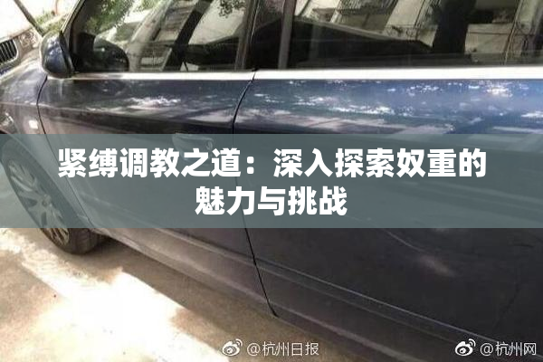 紧缚调教之道：深入探索奴重的魅力与挑战