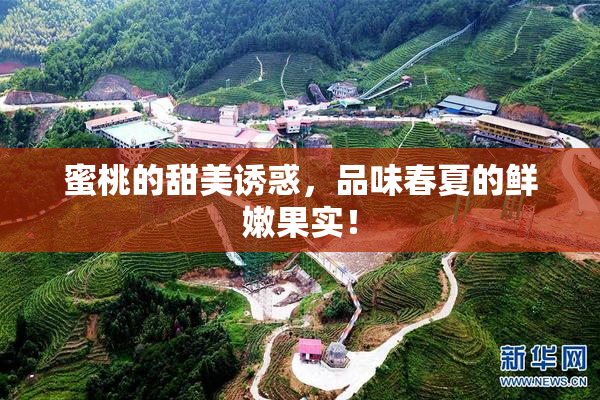 蜜桃的甜美诱惑，品味春夏的鲜嫩果实！