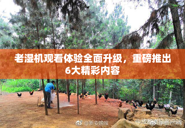 老湿机观看体验全面升级，重磅推出6大精彩内容