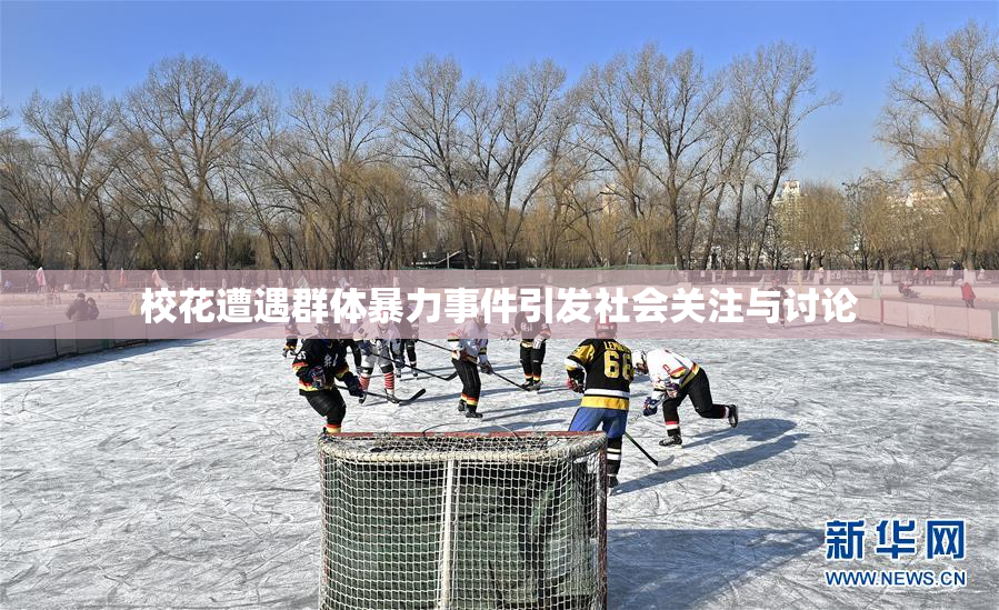 校花遭遇群体暴力事件引发社会关注与讨论