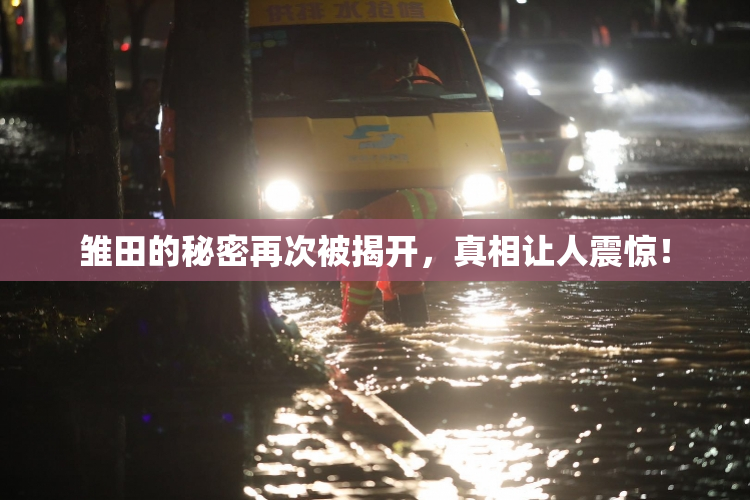 雏田的秘密再次被揭开，真相让人震惊！