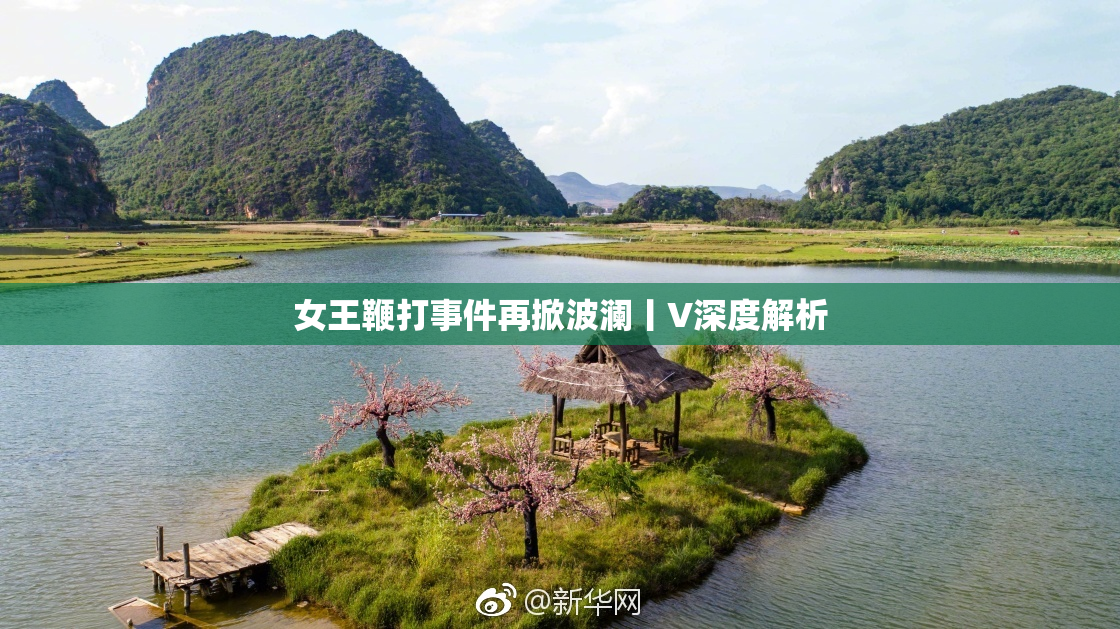 女王鞭打事件再掀波澜丨V深度解析