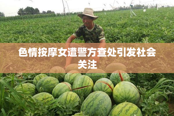 色情按摩女遭警方查处引发社会关注