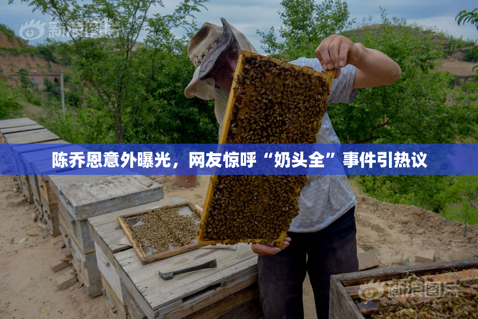 陈乔恩意外曝光，网友惊呼“奶头全”事件引热议