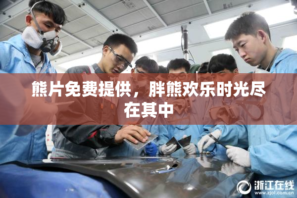 熊片免费提供，胖熊欢乐时光尽在其中