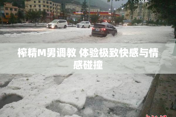 榨精M男调教 体验极致快感与情感碰撞