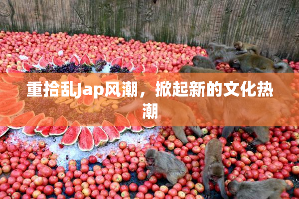 重拾乱Jap风潮，掀起新的文化热潮