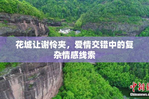 花城让谢怜夹，爱情交错中的复杂情感线索