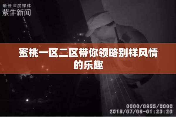 蜜桃一区二区带你领略别样风情的乐趣