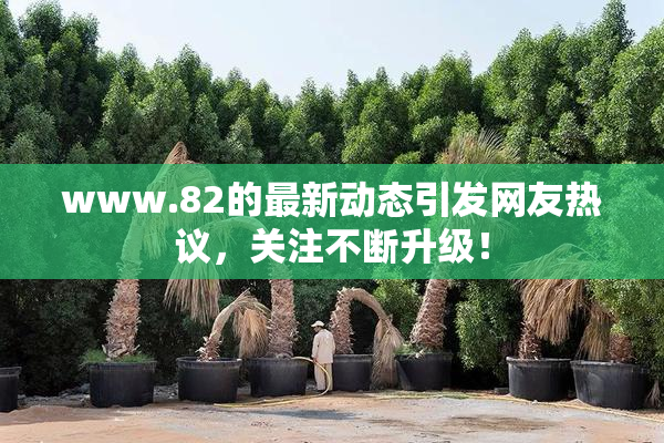 www.82的最新动态引发网友热议，关注不断升级！