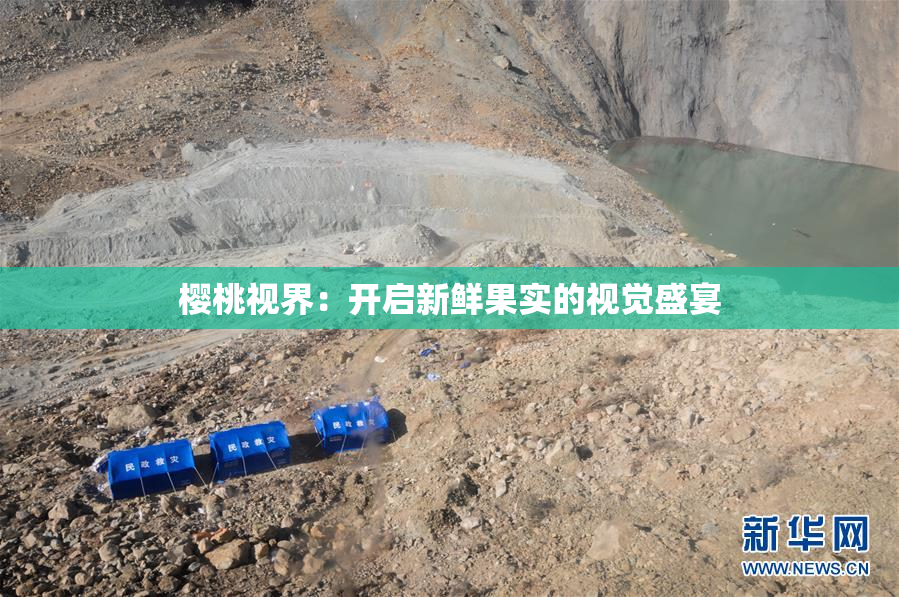 樱桃视界：开启新鲜果实的视觉盛宴