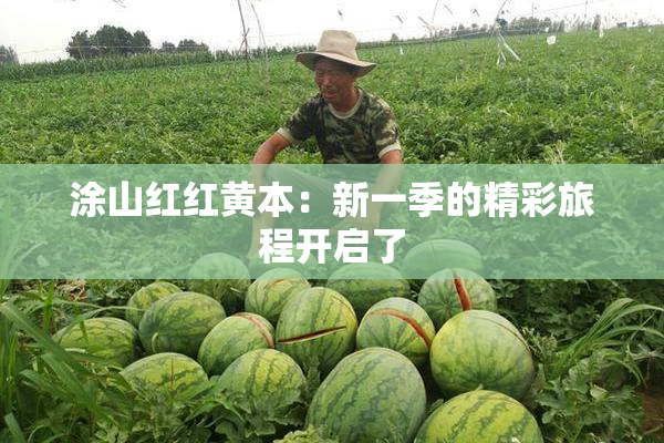 涂山红红黄本：新一季的精彩旅程开启了