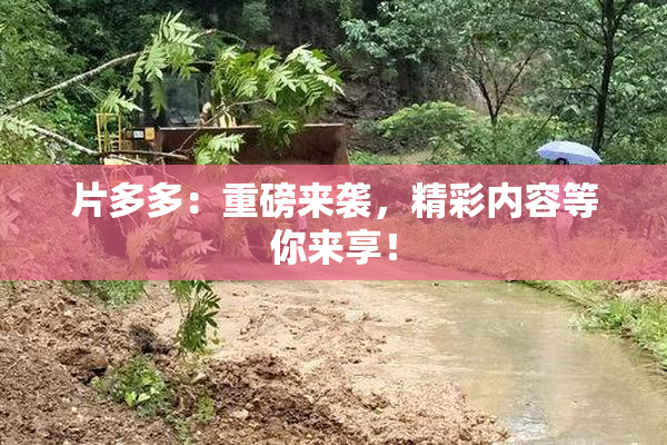 片多多：重磅来袭，精彩内容等你来享！