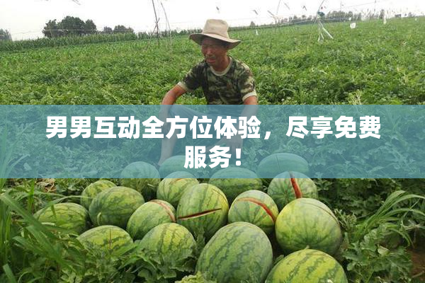 男男互动全方位体验，尽享免费服务！