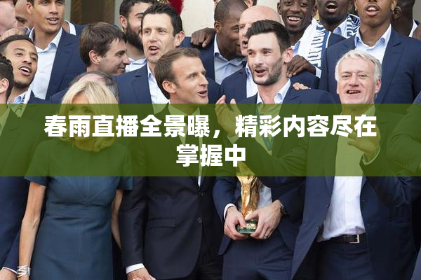 春雨直播全景曝，精彩内容尽在掌握中