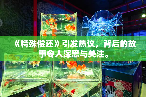 《特殊偿还》引发热议，背后的故事令人深思与关注。