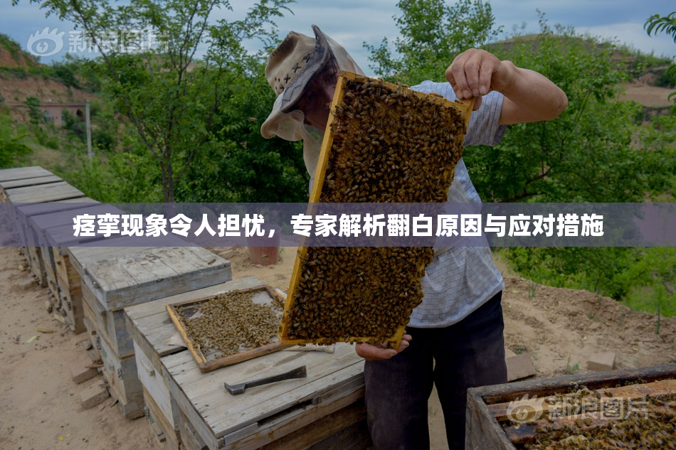 痉挛现象令人担忧，专家解析翻白原因与应对措施