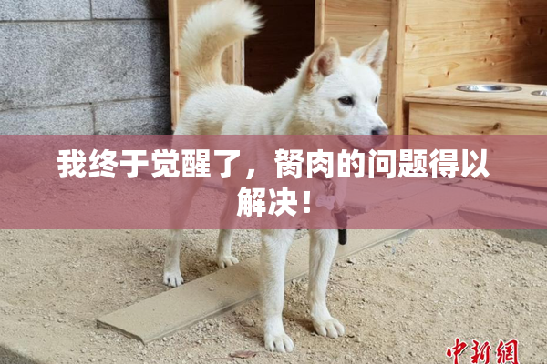 我终于觉醒了，胬肉的问题得以解决！