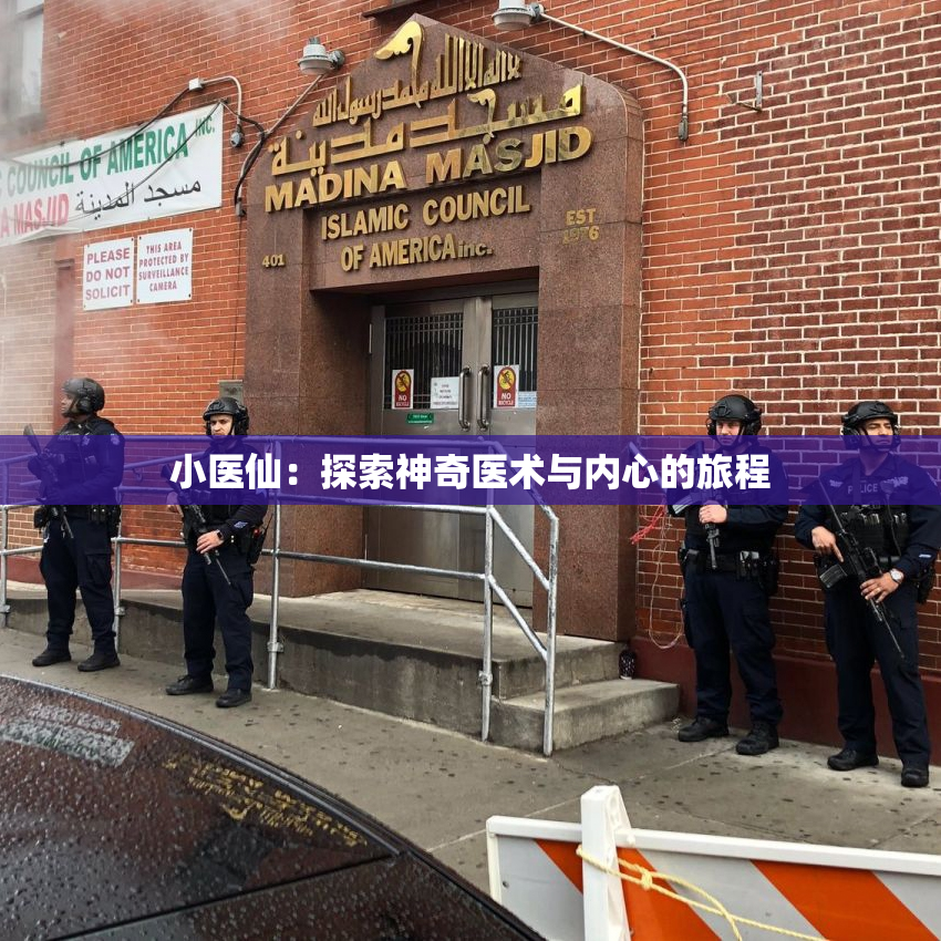 小医仙：探索神奇医术与内心的旅程