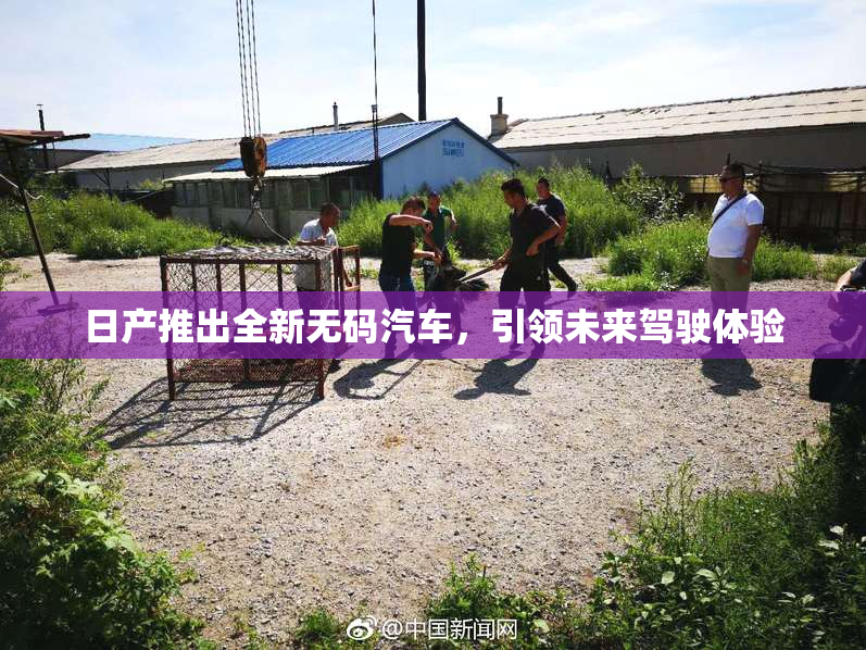 日产推出全新无码汽车，引领未来驾驶体验