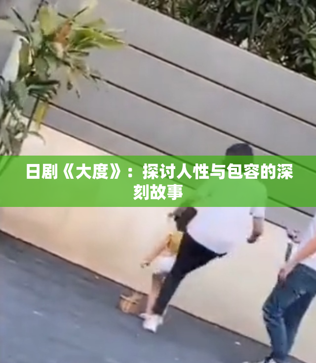 日剧《大度》：探讨人性与包容的深刻故事