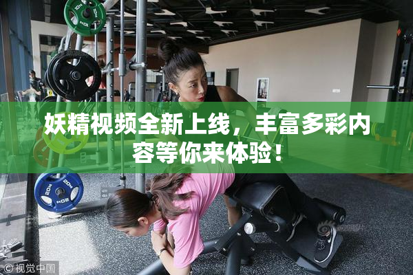 妖精视频全新上线，丰富多彩内容等你来体验！