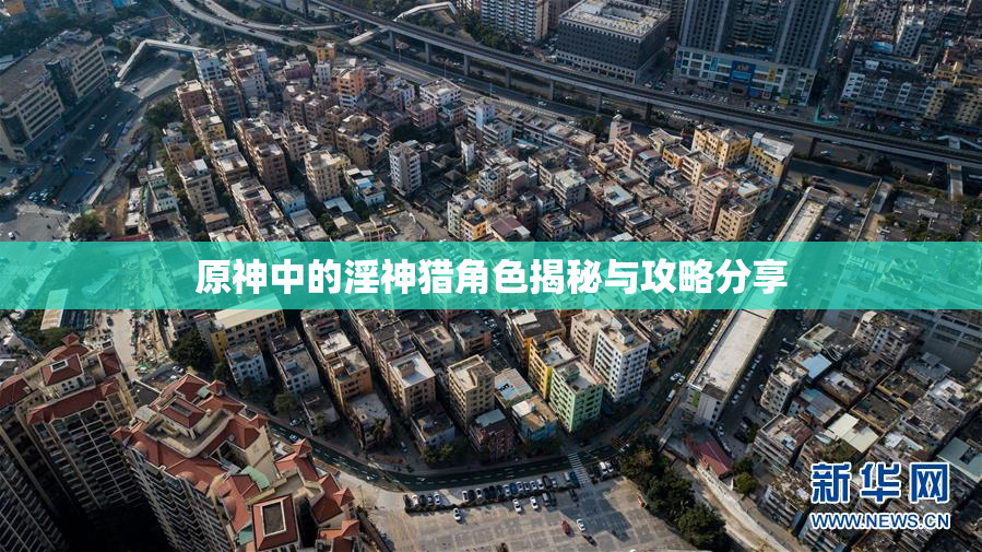 原神中的淫神猎角色揭秘与攻略分享
