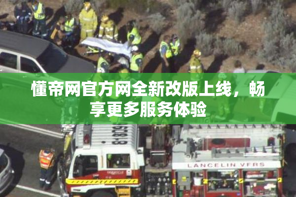 懂帝网官方网全新改版上线，畅享更多服务体验