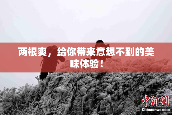 两根爽，给你带来意想不到的美味体验！