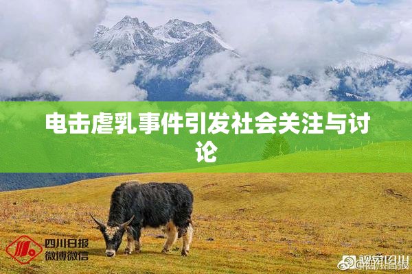 电击虐乳事件引发社会关注与讨论