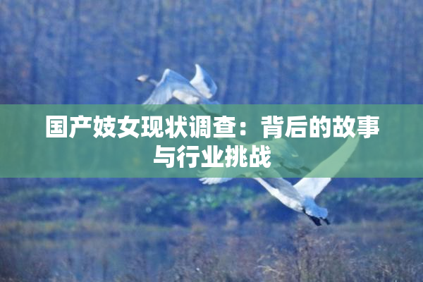 国产妓女现状调查：背后的故事与行业挑战