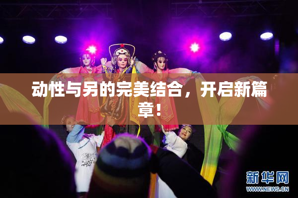 动性与另的完美结合，开启新篇章！