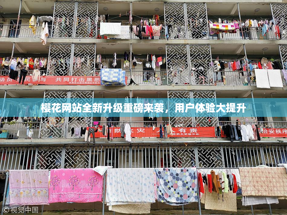 樱花网站全新升级重磅来袭，用户体验大提升