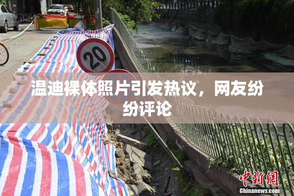 温迪裸体照片引发热议，网友纷纷评论