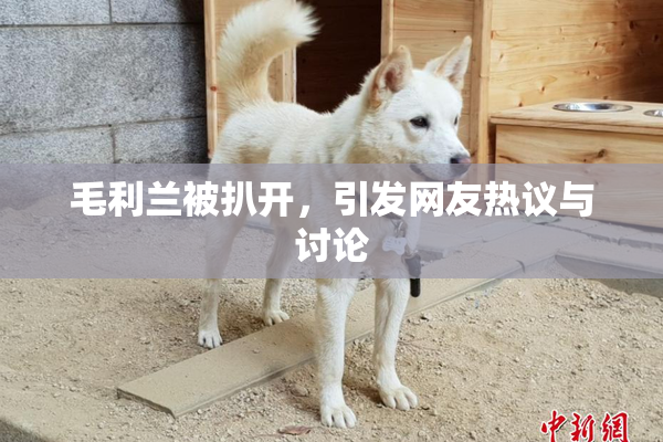 毛利兰被扒开，引发网友热议与讨论