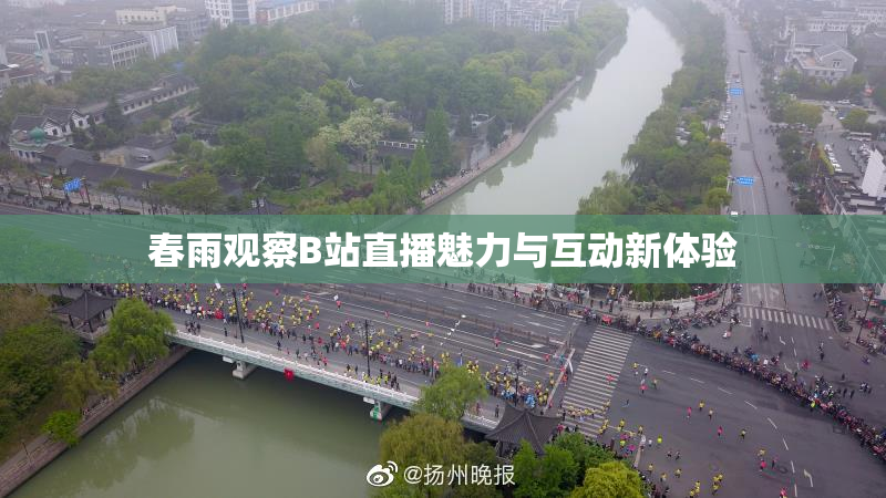 春雨观察B站直播魅力与互动新体验