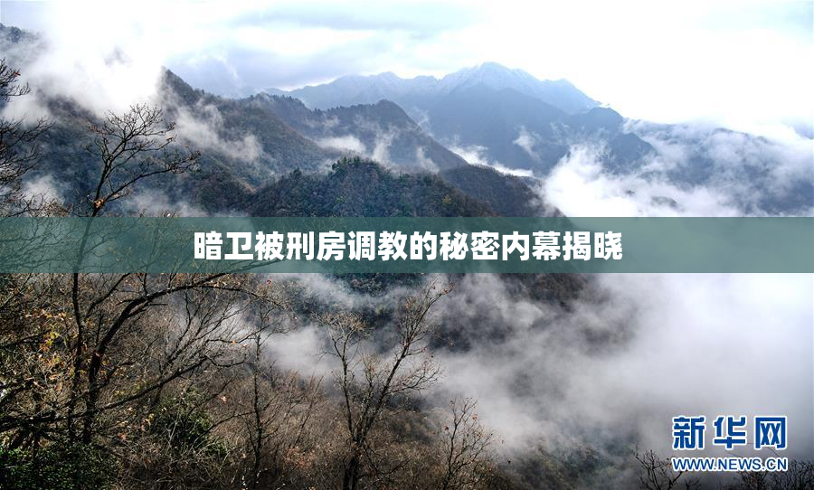 暗卫被刑房调教的秘密内幕揭晓