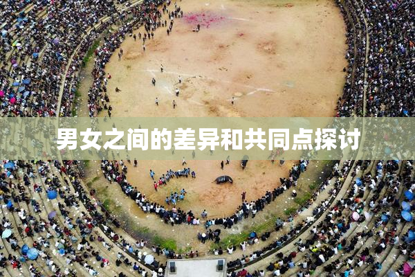 男女之间的差异和共同点探讨