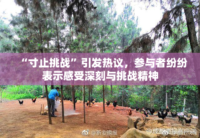 “寸止挑战”引发热议，参与者纷纷表示感受深刻与挑战精神
