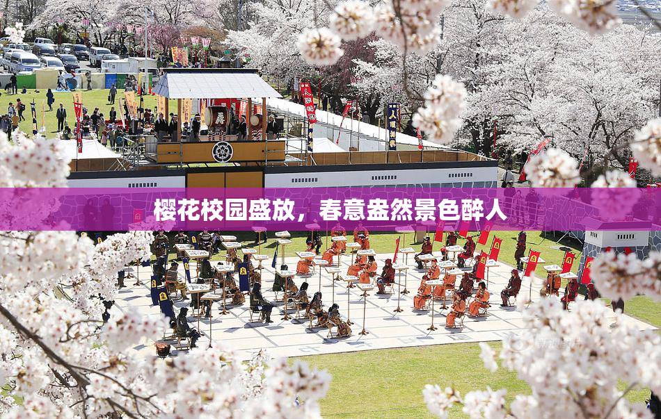 樱花校园盛放，春意盎然景色醉人