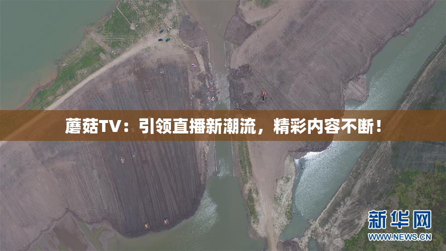 蘑菇TV：引领直播新潮流，精彩内容不断！