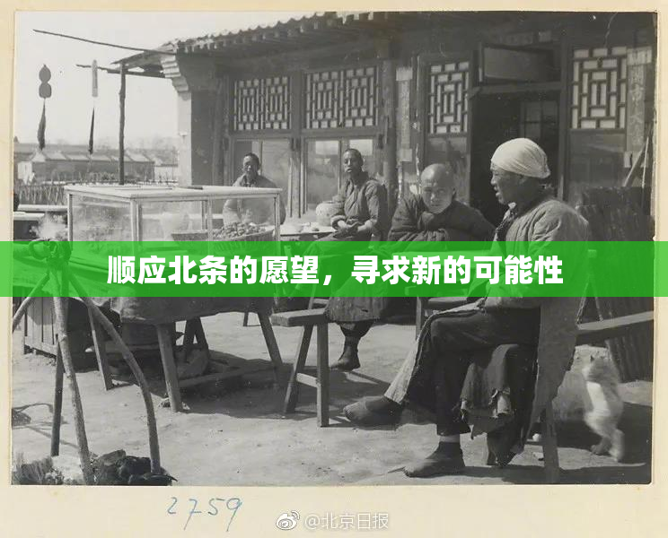 顺应北条的愿望，寻求新的可能性