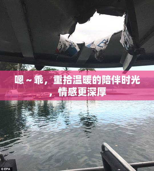 嗯～乖，重拾温暖的陪伴时光，情感更深厚