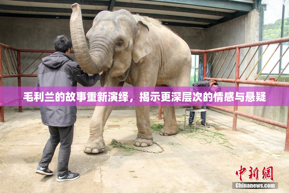 毛利兰的故事重新演绎，揭示更深层次的情感与悬疑