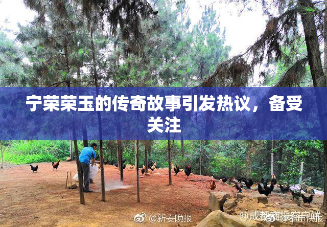 宁荣荣玉的传奇故事引发热议，备受关注