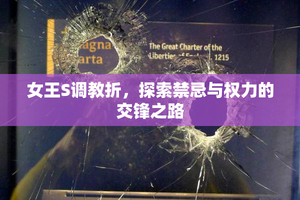 女王S调教折，探索禁忌与权力的交锋之路
