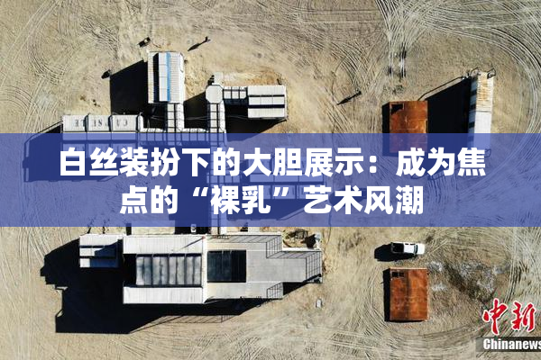 白丝装扮下的大胆展示：成为焦点的“裸乳”艺术风潮